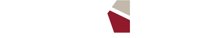 KWS לעסקים- לוגו המותג