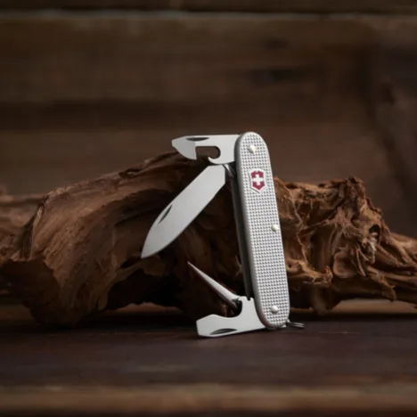 פיוניר אלוקס