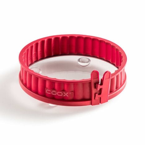 תבנית פאי מתפרקת Quiche dish עם תחתית זכוכית 18 ס