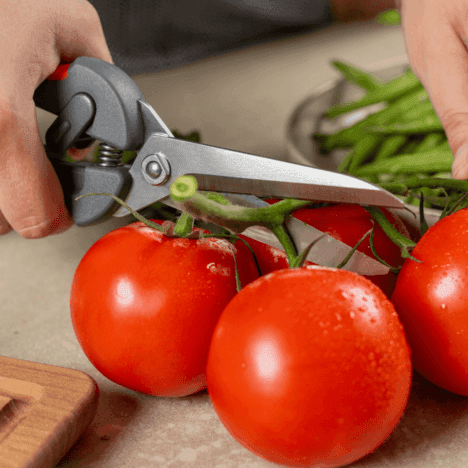 מספריים מקצועיים למטבח