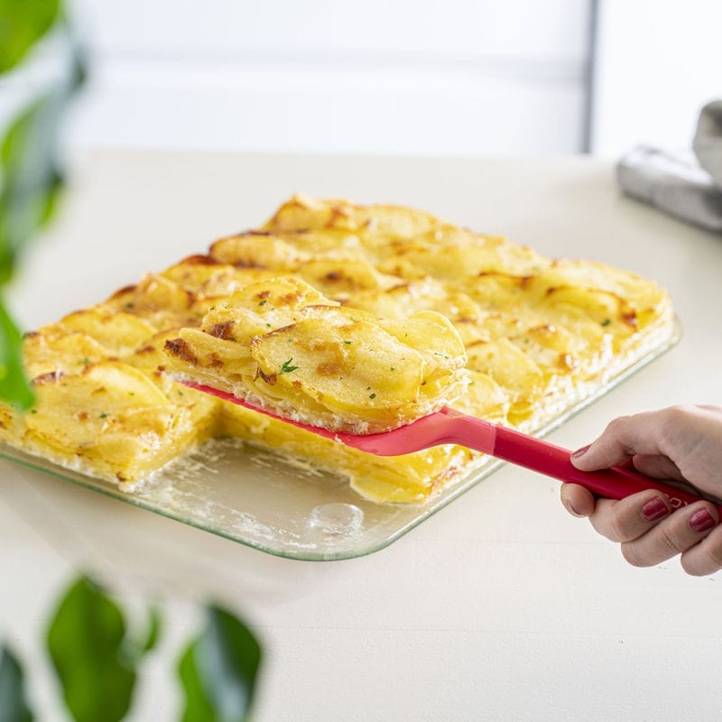 תבנית סיליקון מלבנית עם תחתית זכוכית מתפרקת אדום